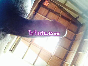 ควยผมเป็นงัยมั่งคับ