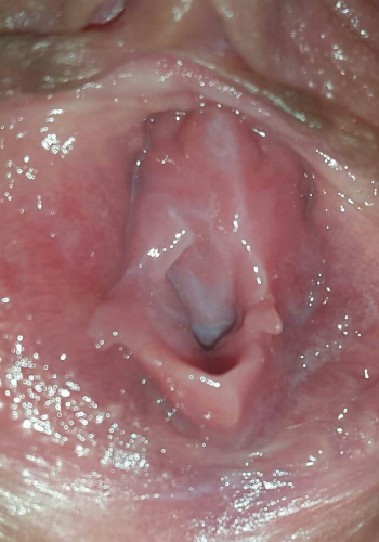 [รูปเมีย] กิ๊กส่งให้ดูบอกยังซิงคุณคิดว่าซิงไหมทุกท่าน [2 รูป]