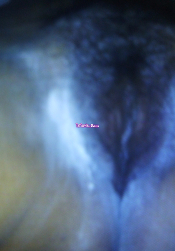 มาคราวนี้มีโป๊ 2